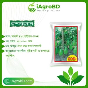 Maloti 422 Hybrid Brinjal seeds Price in BD